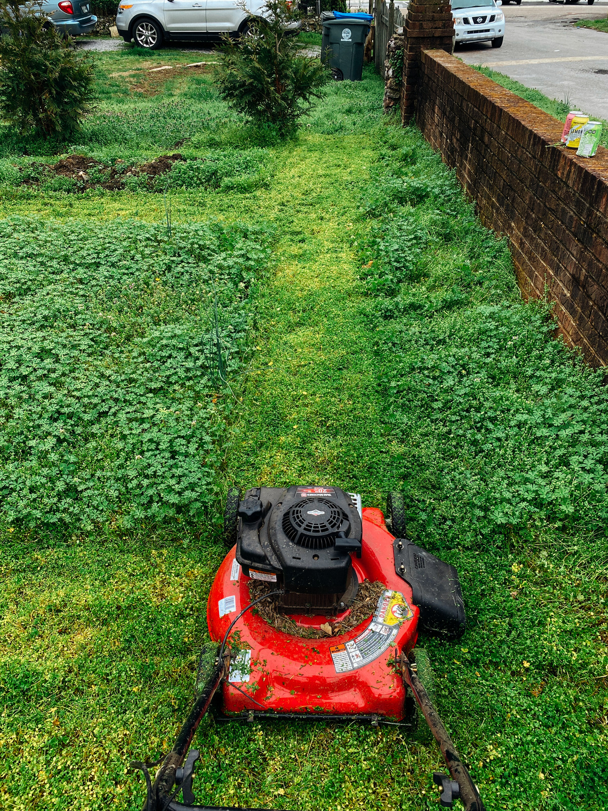 Lawn mower on a green garden lawn