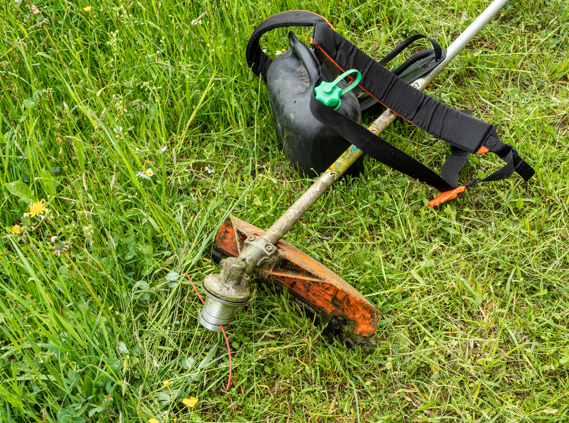 Grass trimmer used for garden maintenance
